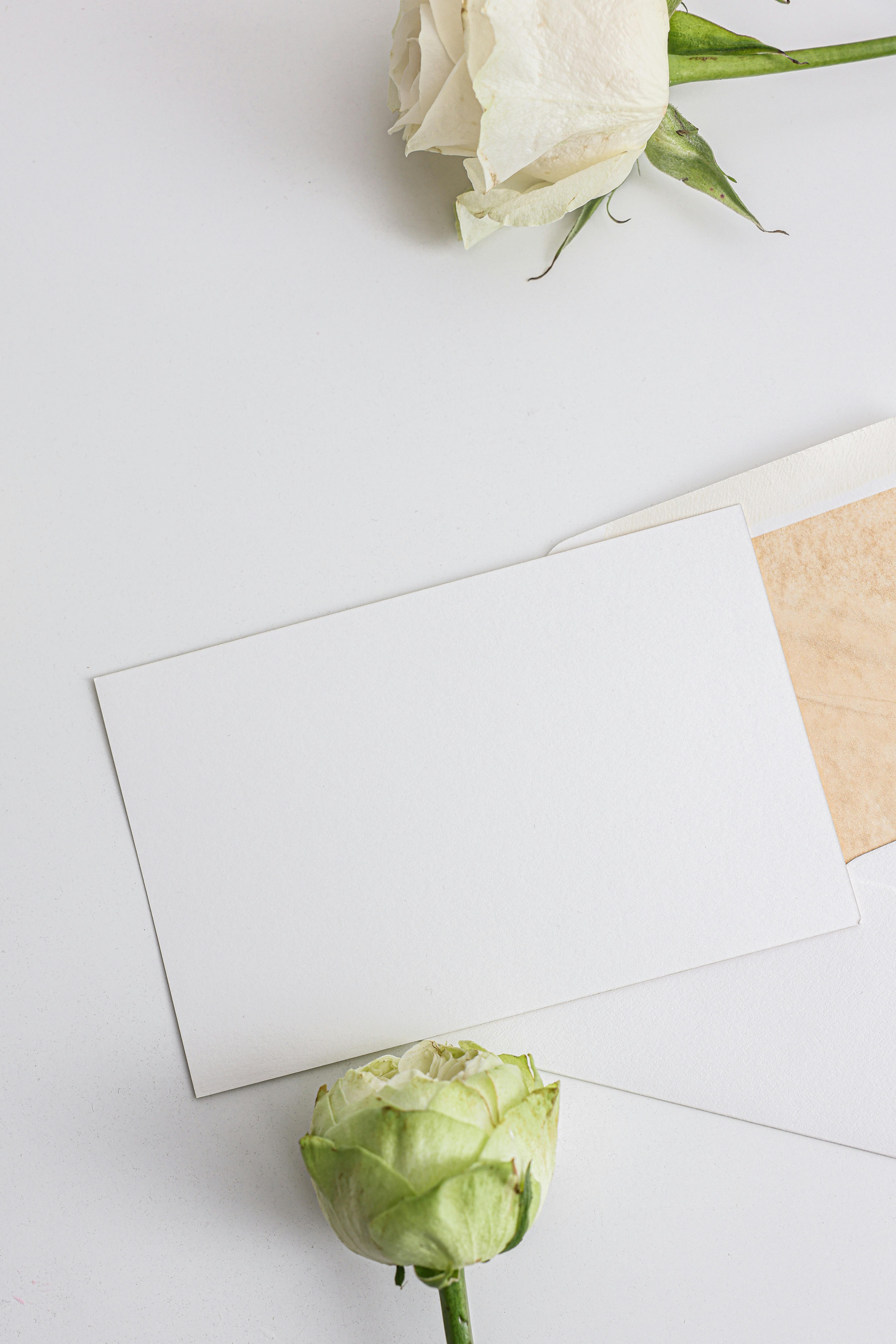 Business Card Mock Up